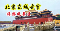 淫水骚穴大鸡巴视频中国北京-东城古宫旅游风景区